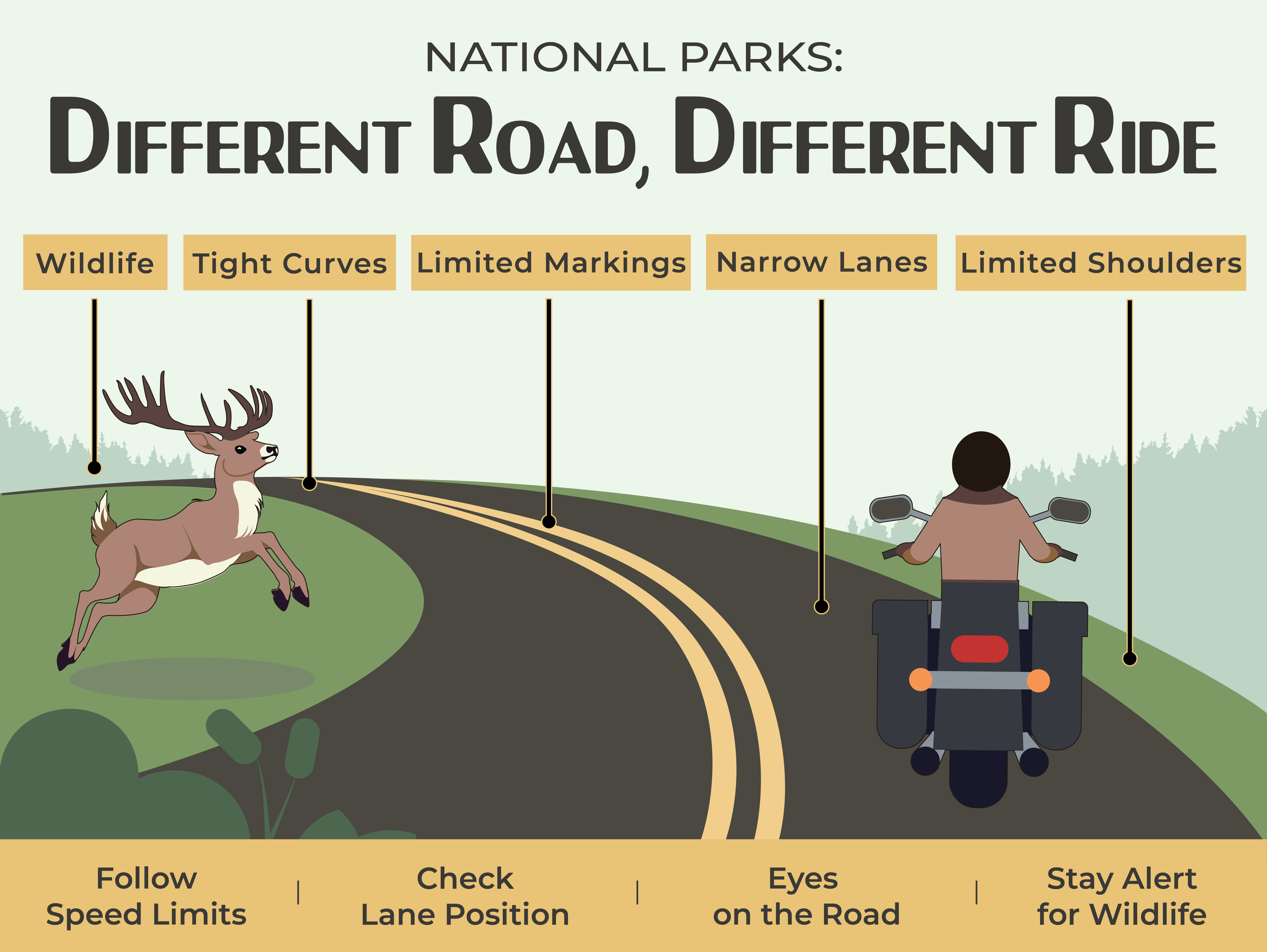 National Parks: Different road, different ride. Watch out for wildlife, tight curves, limited markings, narrow lanes, and limited shoulders. Remember to follow speed limits, check lane position, keep your eyes on the road, and stay alert for wildlife.