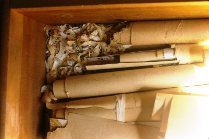 Rolled papers that have been damaged by a mouse.