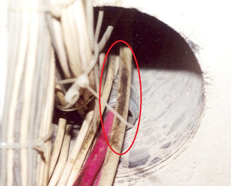 Dark brown stains from mice on a white wire.