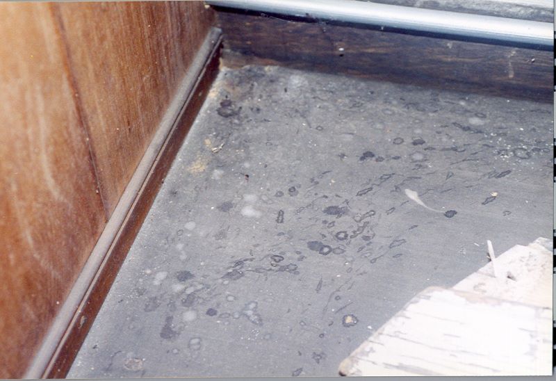 Splatters of mouse urine on a gray floor.