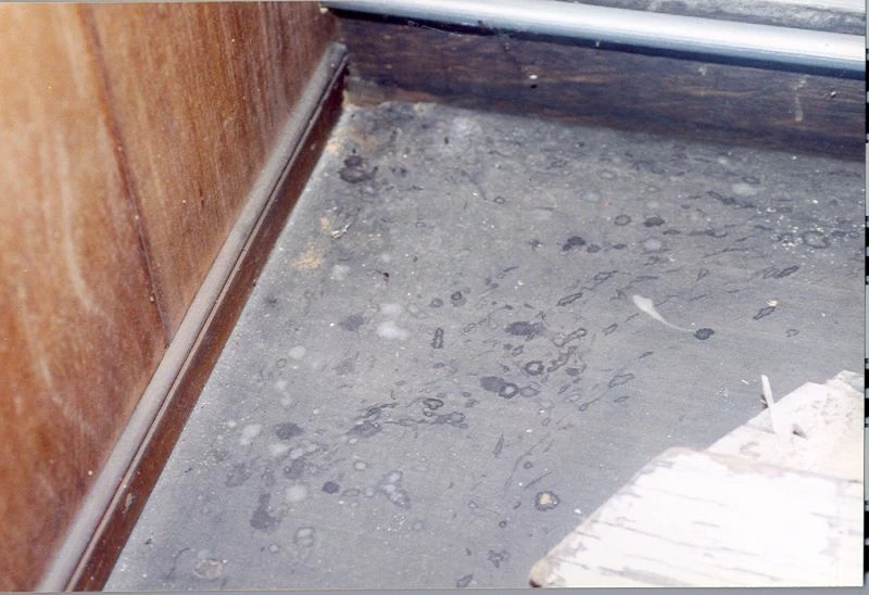 Rodent Urine Puddle Example Conserve O Gram 3/12: Identifying Mouse and Rat Damage in Museum ...