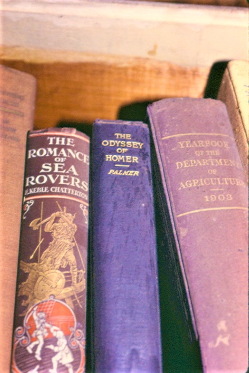 Mouse urine stains on a book.