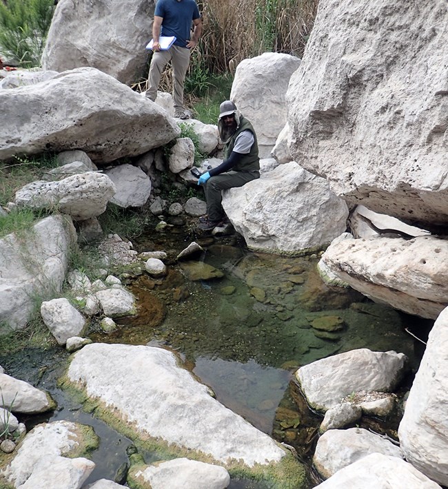 A small pool of clear water surrounded by boulders and small patches of vegetation