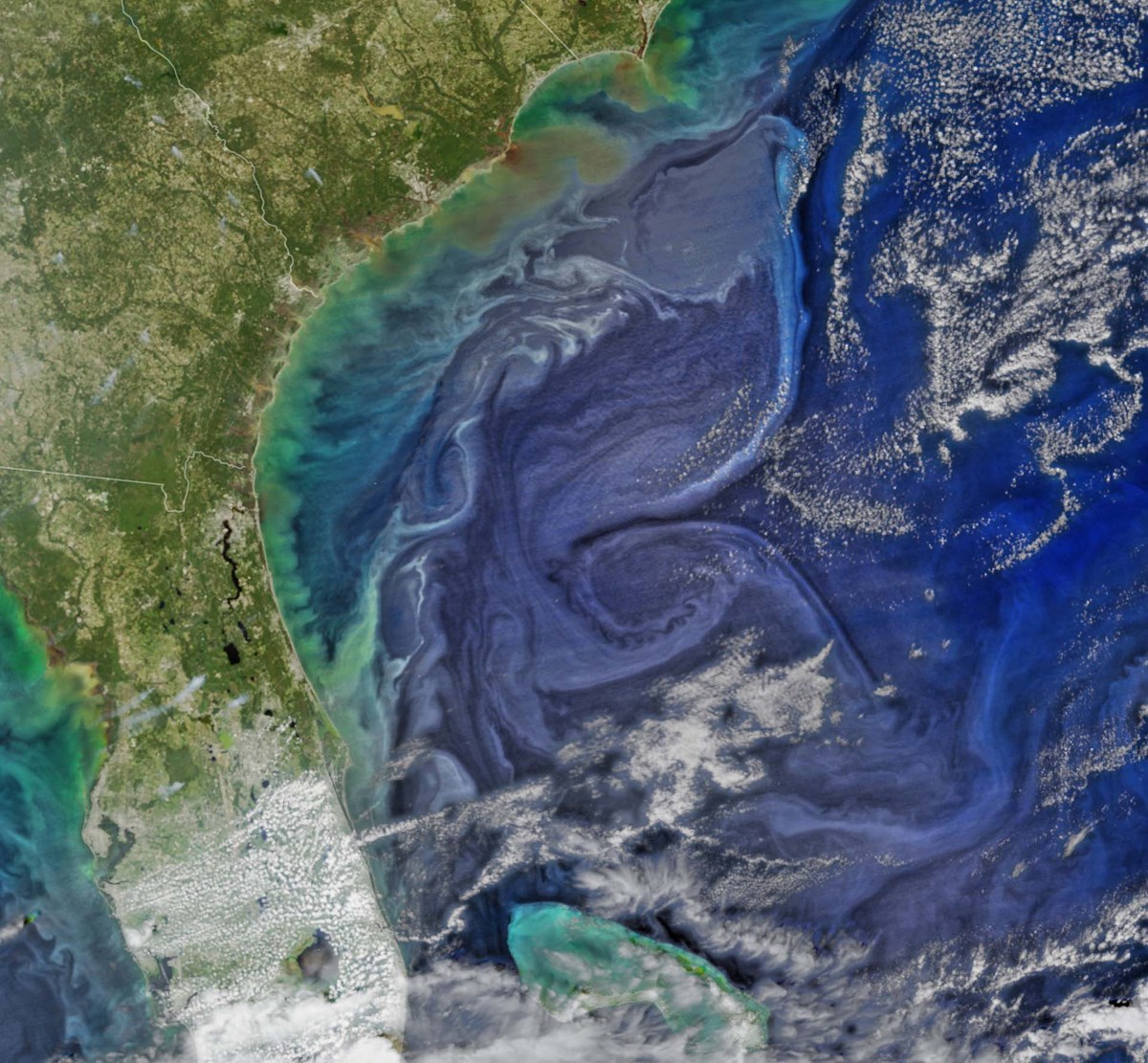 Coastal Processes—Near-Shore Currents (U.S. National Park Service)