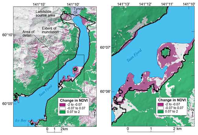 Satellite imagery of vegetation loss caused by the tsunami.