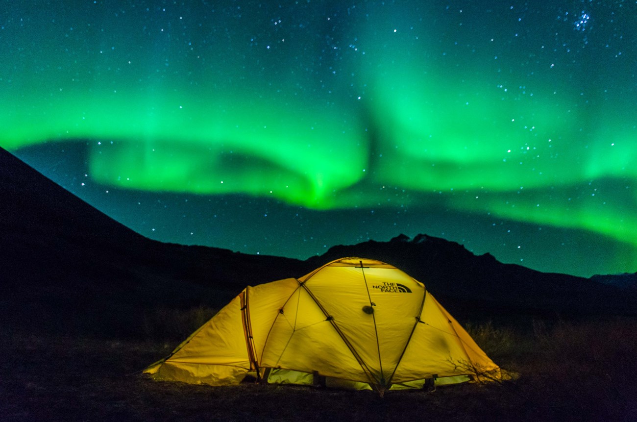 Green northern lights span a starry sky over a yellow tent with the silhouette of mountains in the background