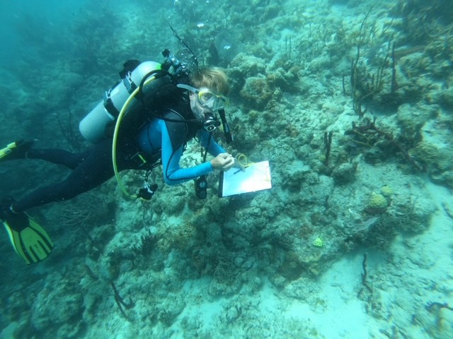 Catherine Anna Toline scuba diving with a pad for notetaking
