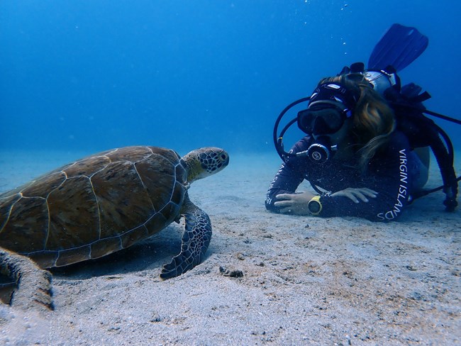 Kristen Allaine Ewen scuba diving in front of a large sea turtle