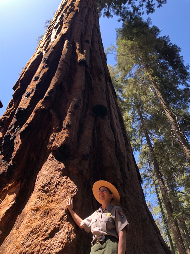 Christy Brigham in front of a tall forest