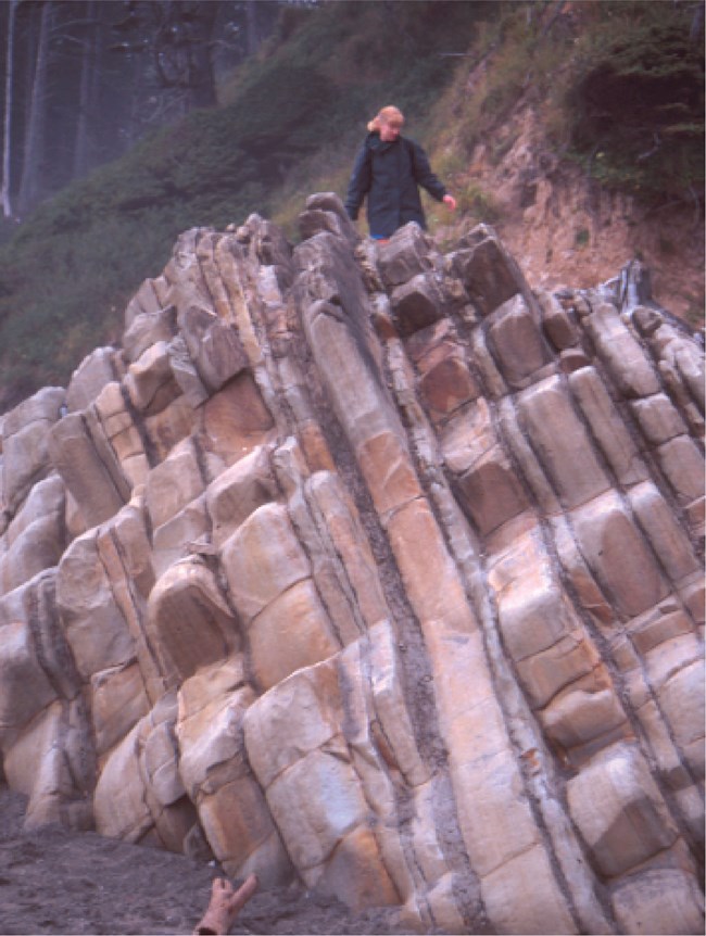 person standing beside tilted sandstone outcrop