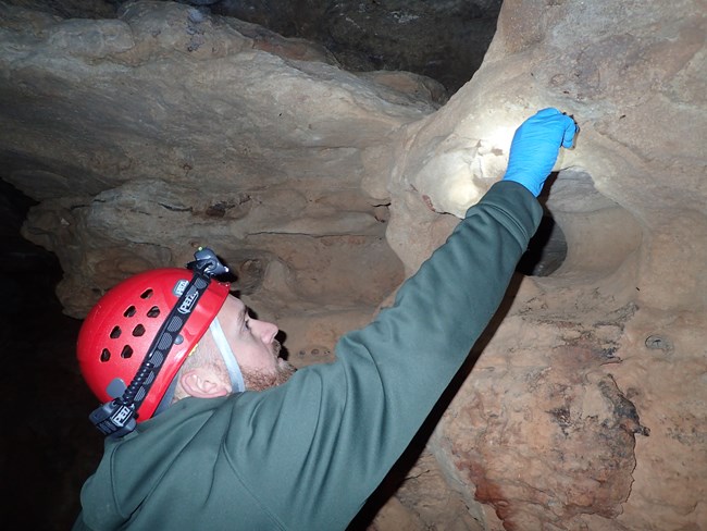 scientist in cave collecting samples