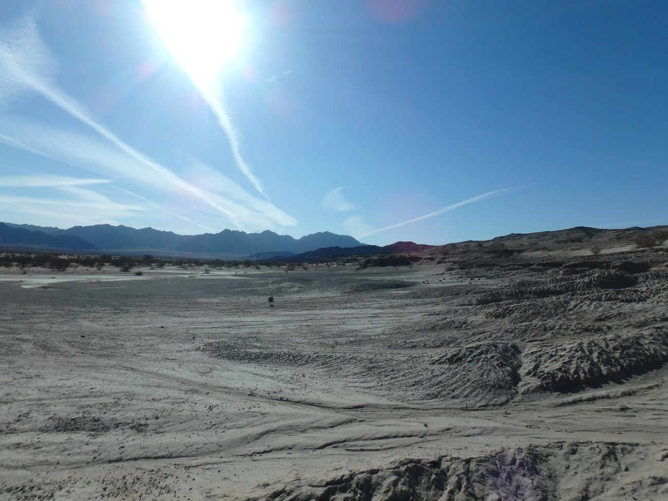 Color photo of a desert dune landscape as far as the eye can see.