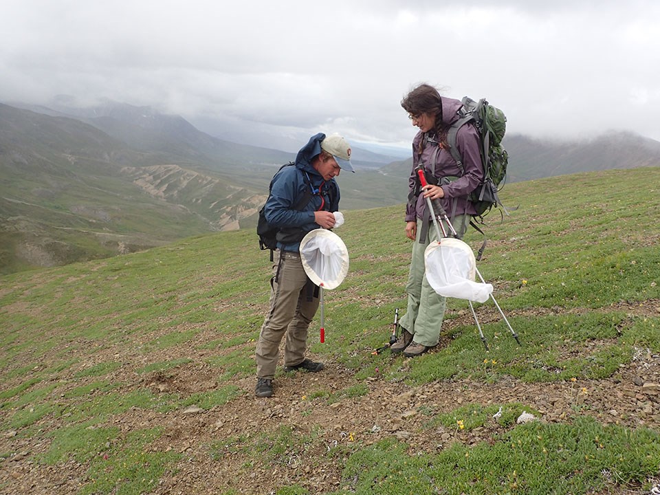 Two students stand on a green slop with mountains in the background