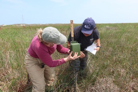 Two researchers setting up a green boxed recording unit in a grassy field.
