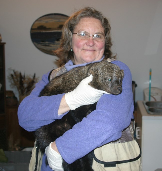 Woman holding a medium sized brown mammal