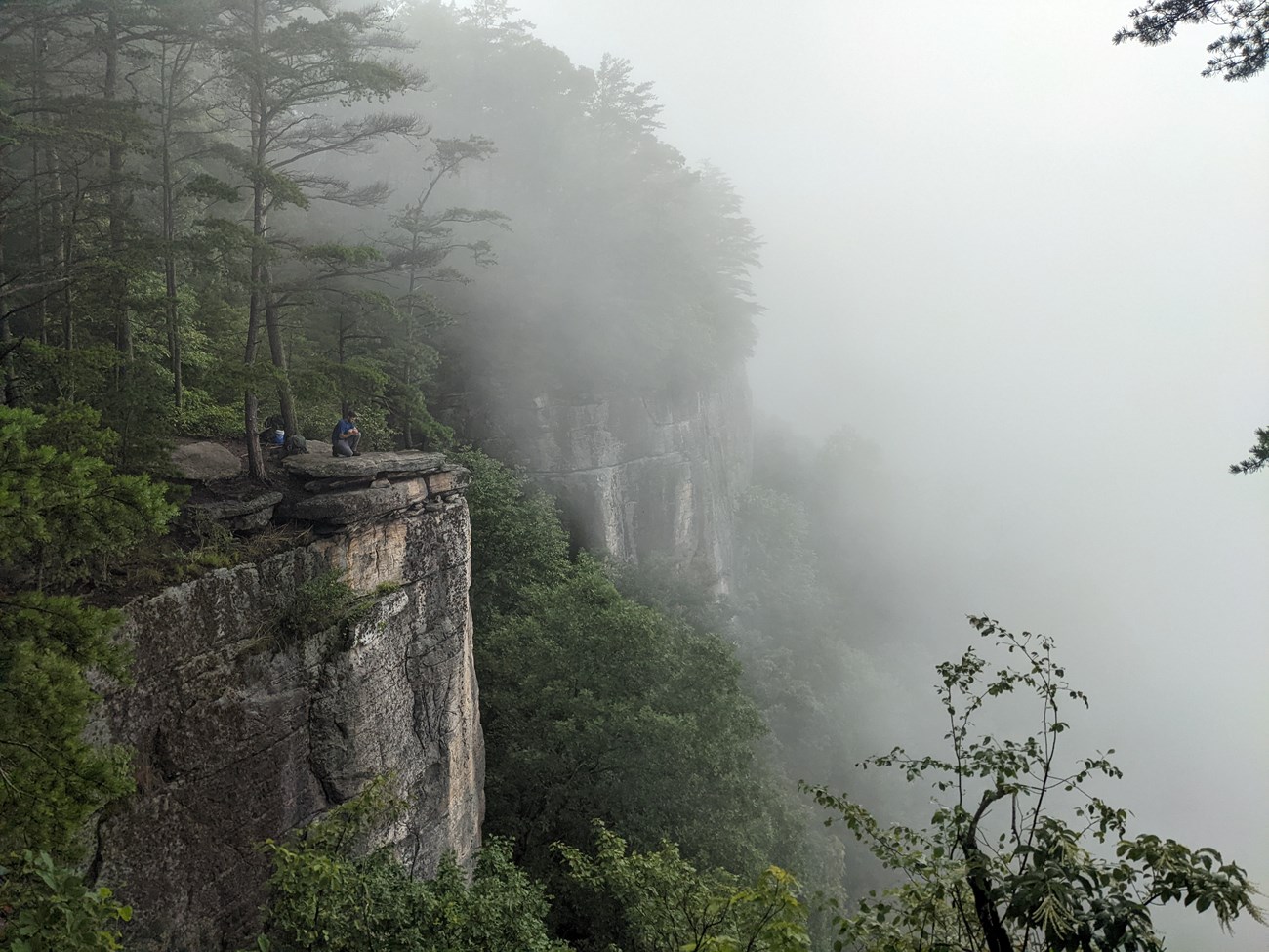 A lush cliffside with someone at the top looking out into the foggy distance.