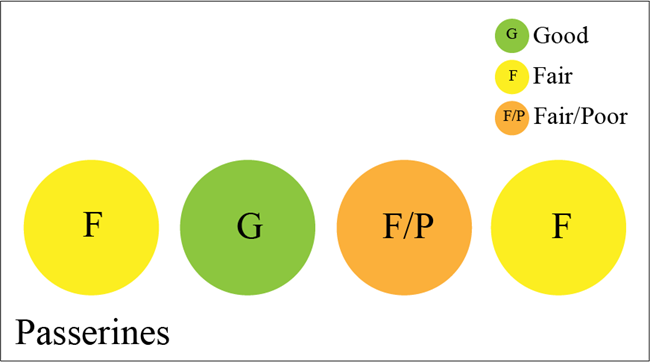 Figure 1 is a simple graphic showing four colored circles representing different condition indicators. The first and last are yellow (fair), the second is green (good), and the third is orange (fair/poor).