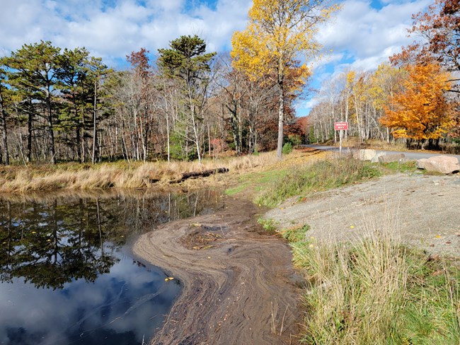 water from a stream crests the bank close to flooding a road