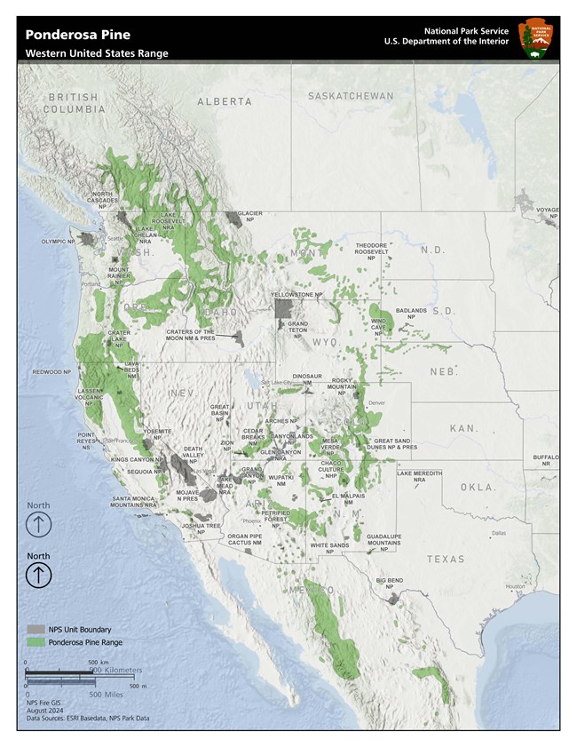 Map showing Ponderosa pine range in the western United States and neighboring countries.
