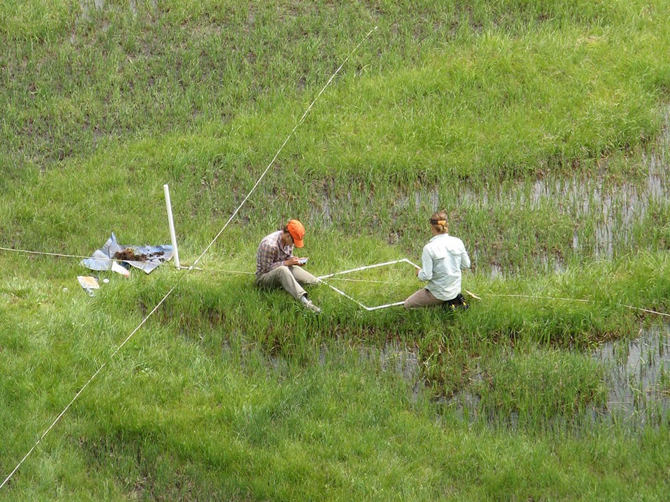 two field technicians sit in a grassy, wet meadow next to a white, square frame