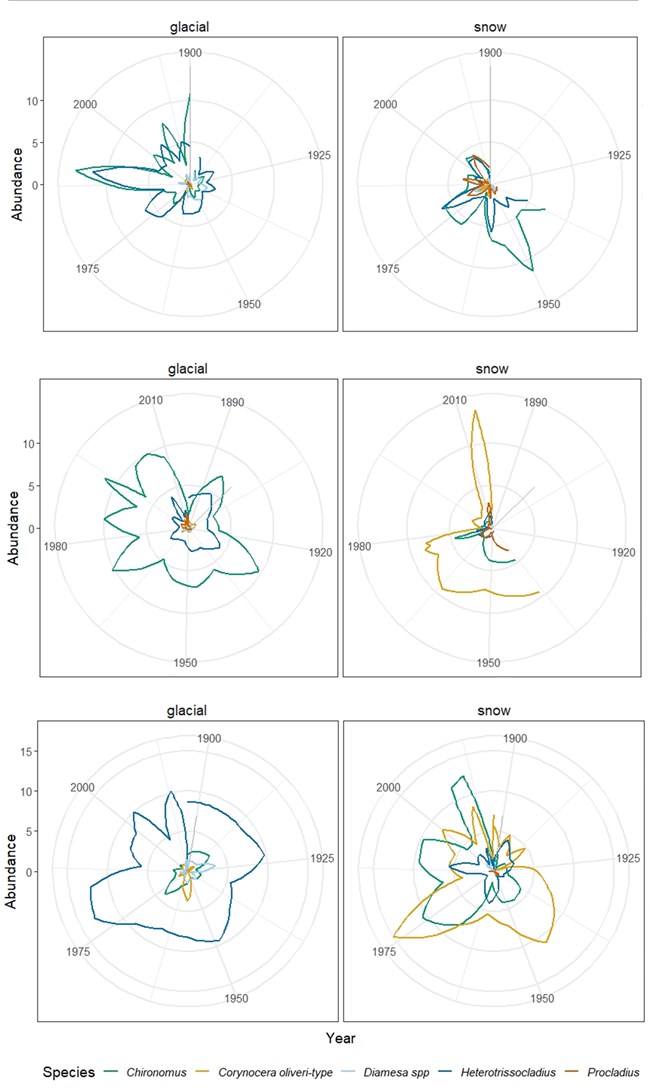 Rank clock graphs showing chronomid species abundance