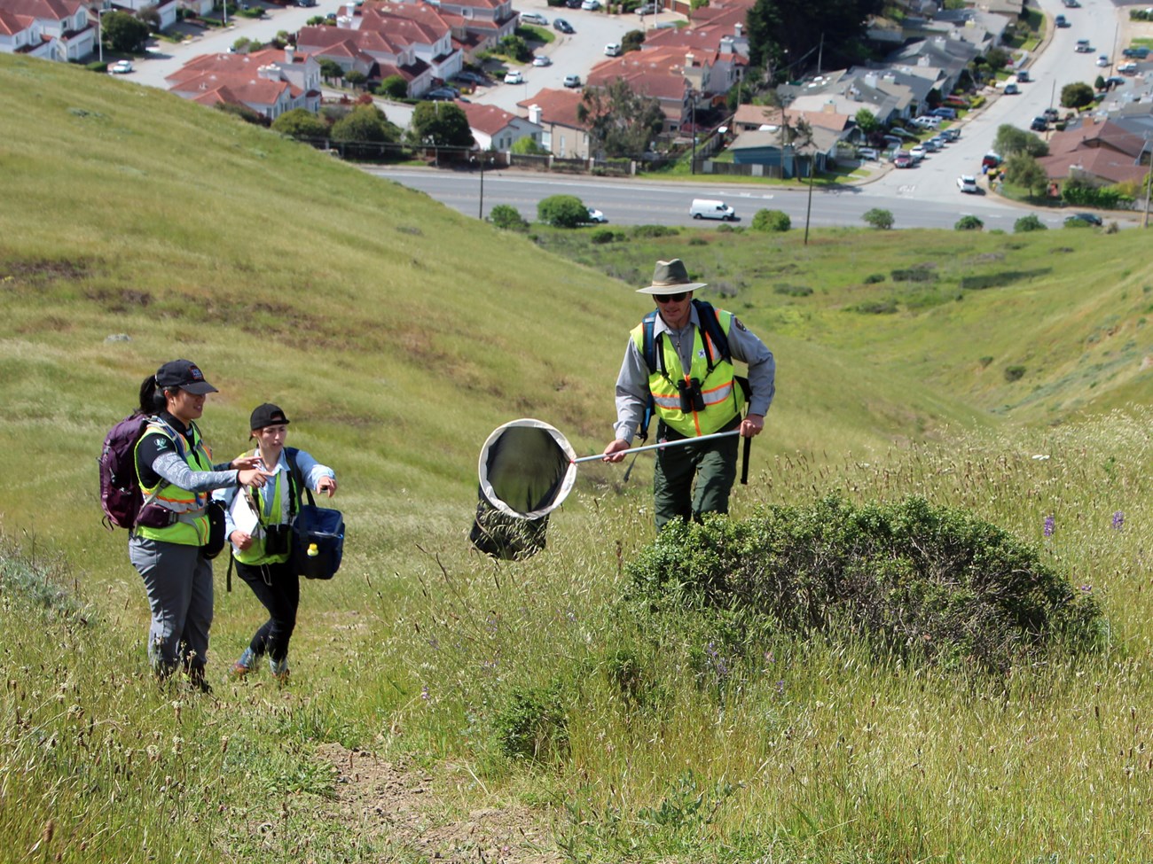 Two people pointing towards a butterfly as a third person prepares to catch it with a net