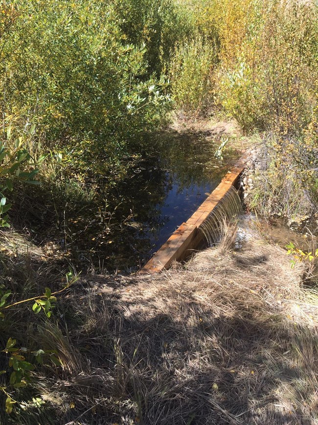 Simulated Beaver Structures Us National Park Service