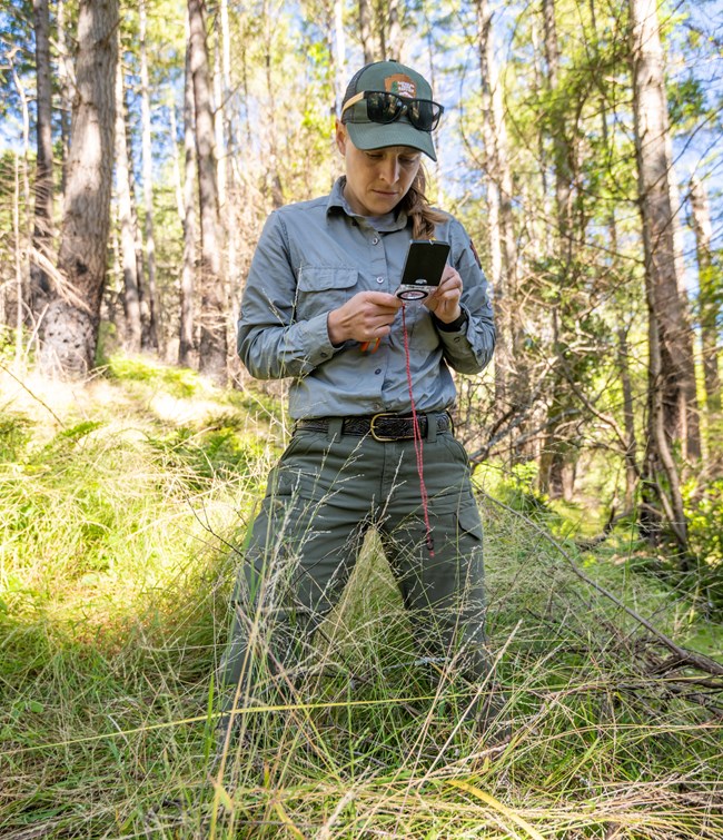 A field tech (Lisa) in a green hat with the NPS logo, a gray button-up shirt, and green pants stands in tall green grass and brush in the forest.
