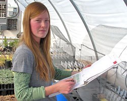 Conducting a seedling trail on potted plants inside of the greenhouse.