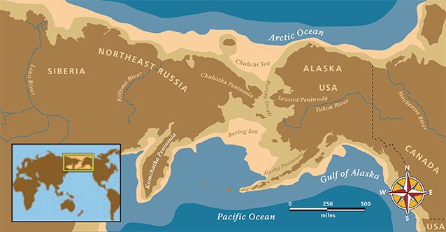 a map of beringia, a landmass connecting modern day siberia and alaska