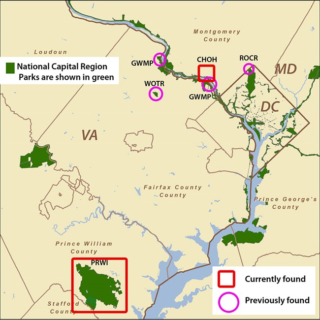Map of DC area parks with freshwater sponges