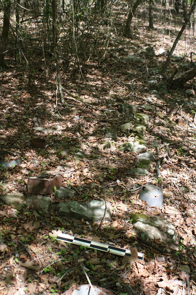 stone foundation covered by leaves