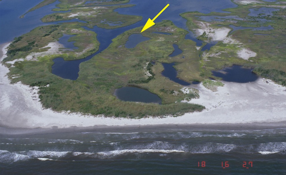 low-profile sand bar and wetlands