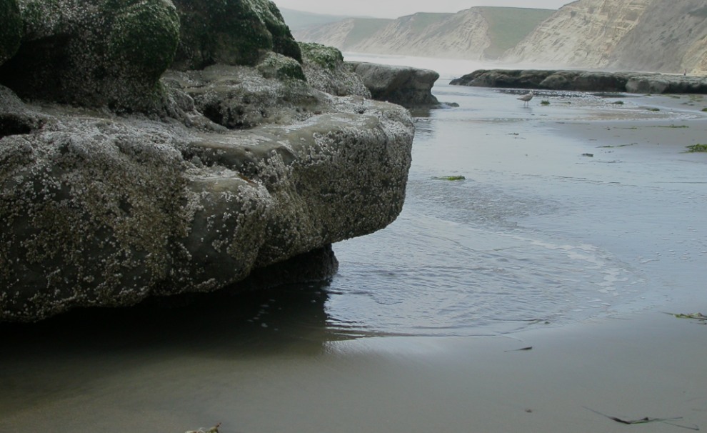 fine grained beach sediments and large rock platforms