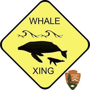 whale xing sign