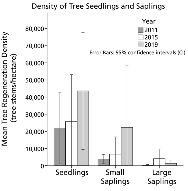 Bar graph of tree regeneration at LIBO from 2011 to 2019.