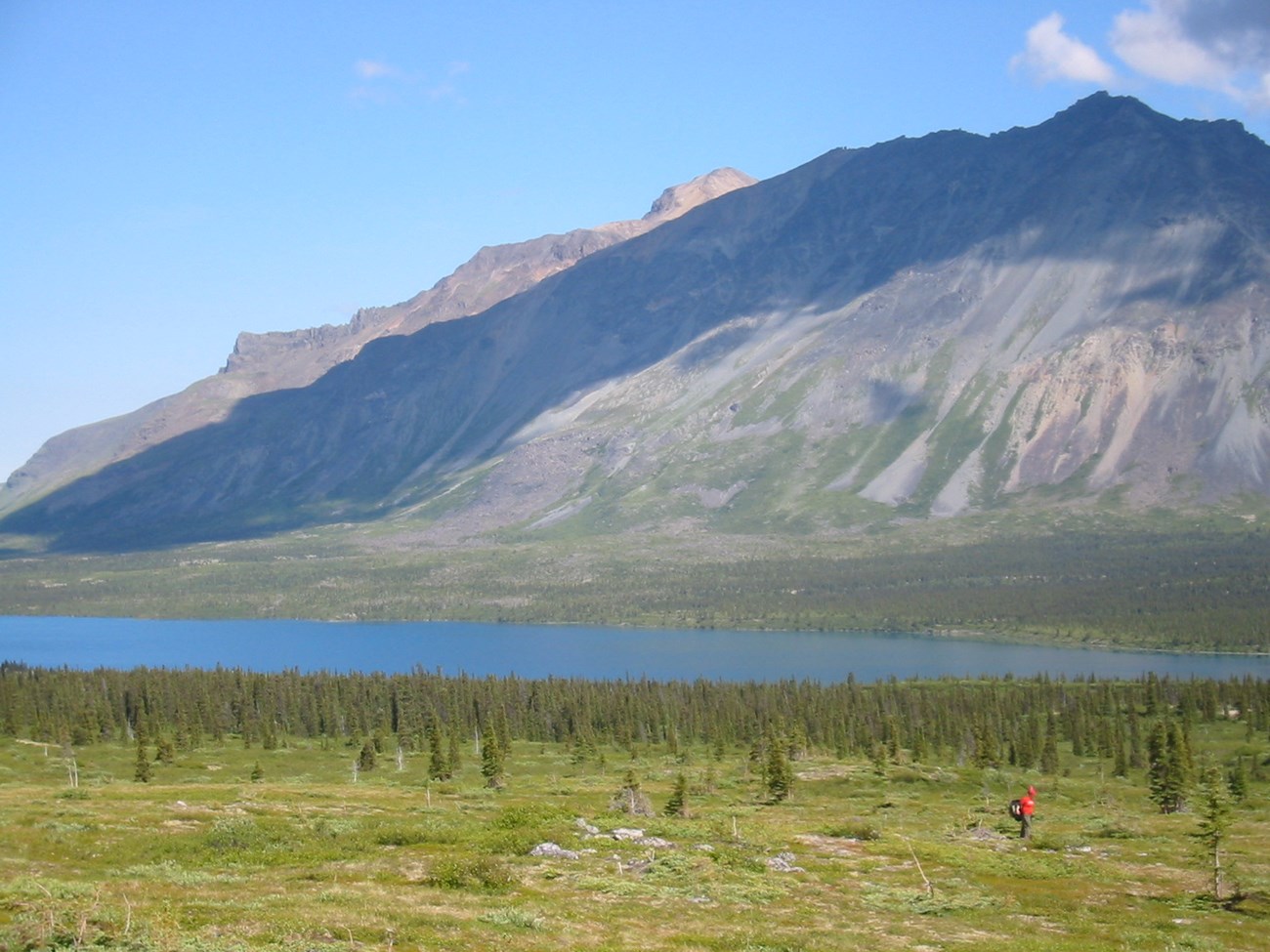 Image of person hiking above a forest hillside with a lake and mountains in the background.