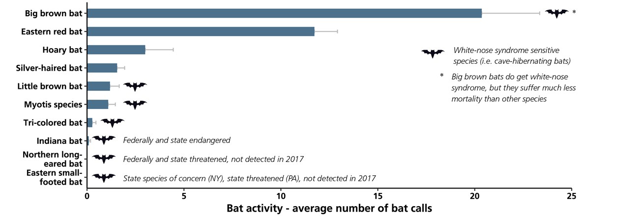 Bar chart showing bat species activity based on the number of recorded bat calls in the park.
