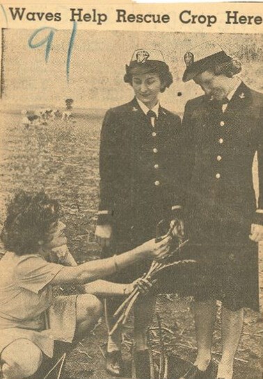 newspaper image of two women in uniform in a field standing of a squatting woman picking food