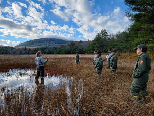 five park employees standing ankle deep in grassy wetland meadow