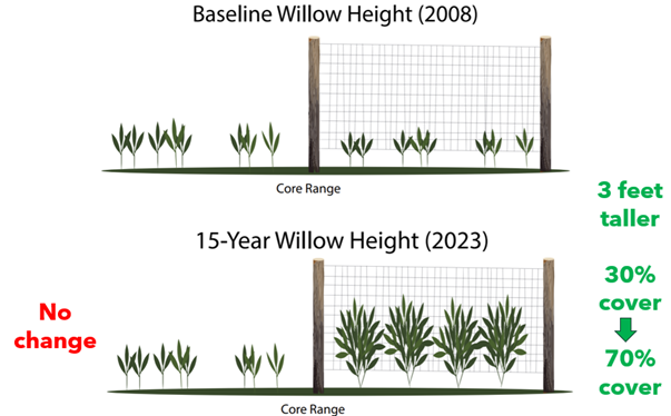 Willow Data figure
