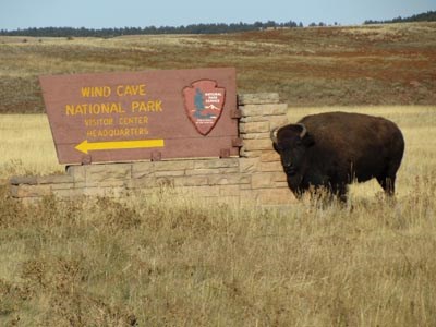 A large bison stands next to an NPS entrance sign that reads: "Wind Cave National Park, Visitor Center Headquarters", an arrow pointing to the left