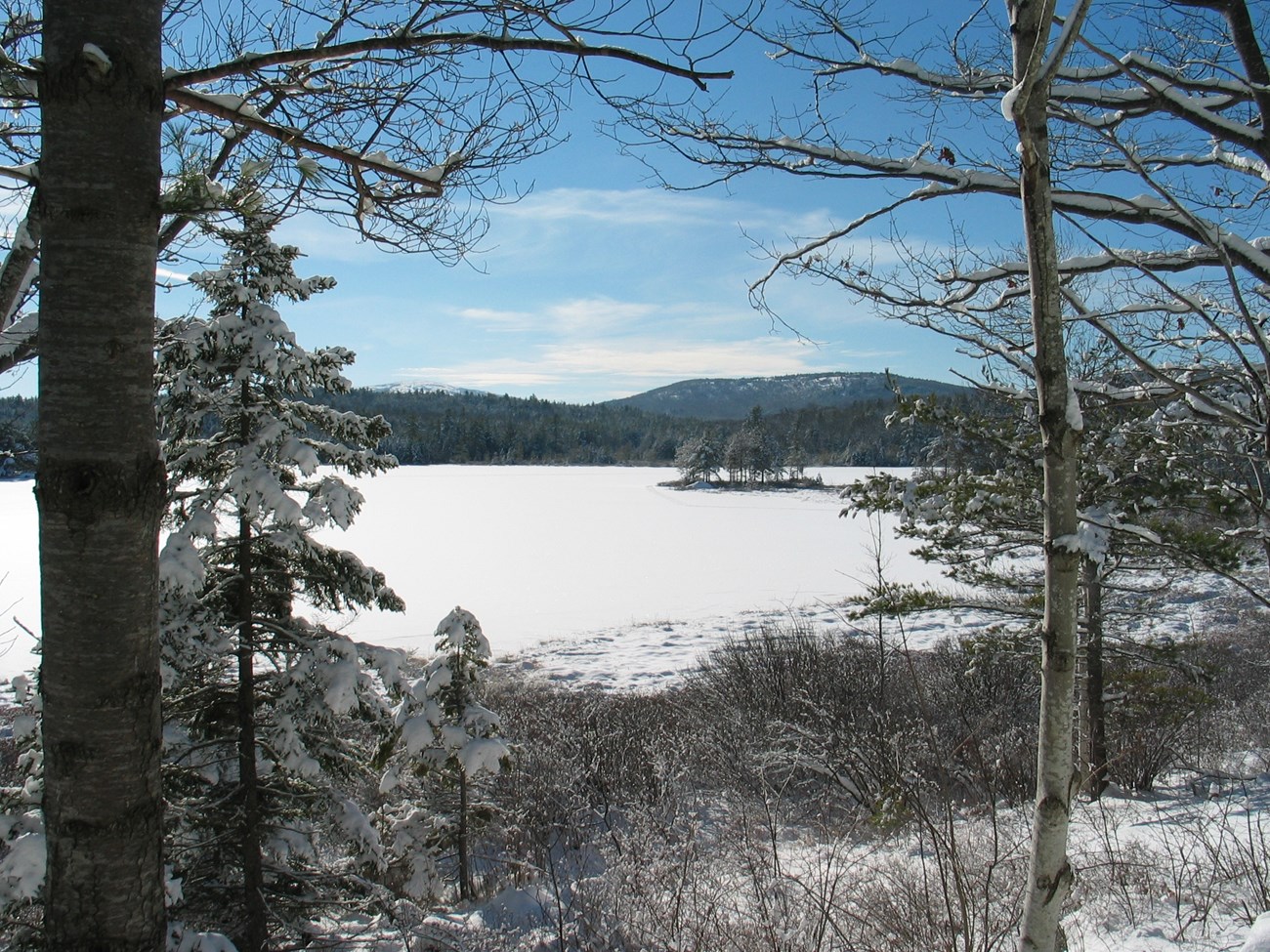 view of a frozen lake from the shore