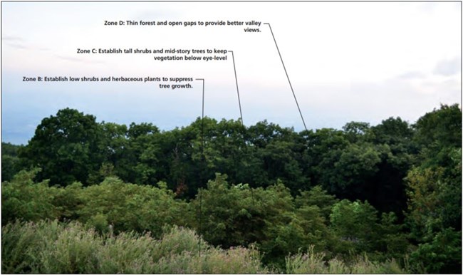 Zones at Big Meadows