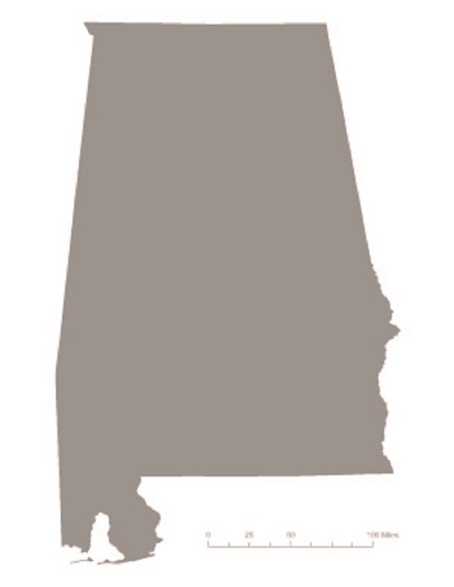 Picture of state of Alabama in gray – indicating it was not one of the original 36 states to ratify the 19th Amendment. Courtesy Megan Springate.