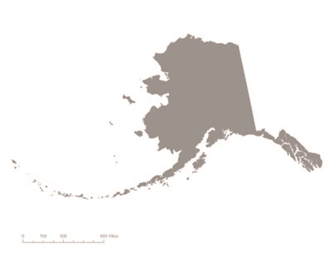 Picture of state of Alaska in gray – indicating it was not one of the original 36 states to ratify the 19th Amendment. Courtesy Megan Springate
