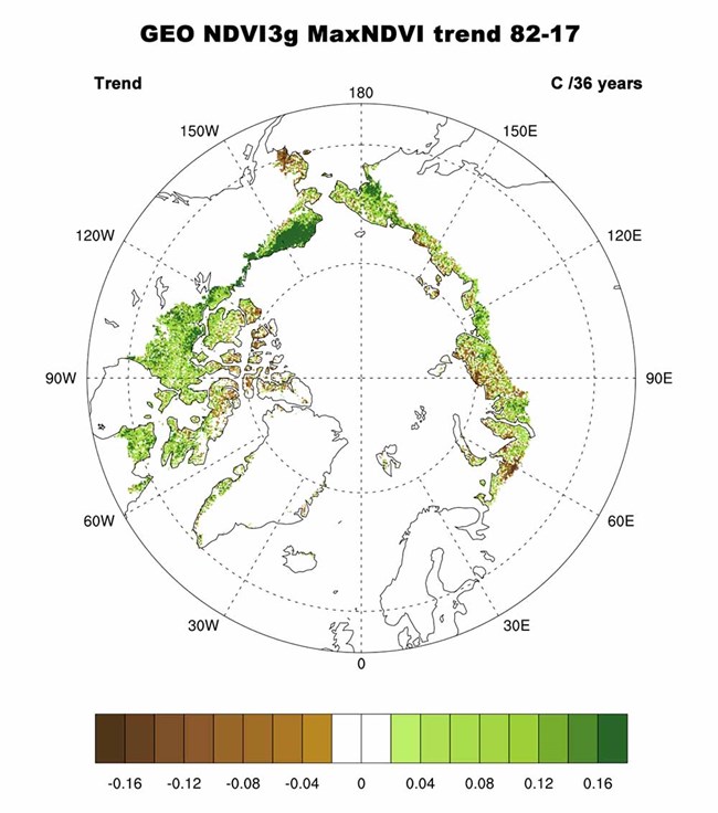 Figure of circumpolar tundra greenness 2018