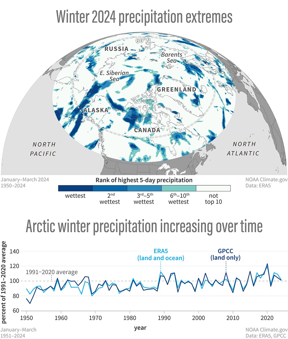 Summary graphics for Arctic precip 2024.