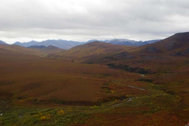 Aerial view of Arctic tundra and riparian area in fall color.