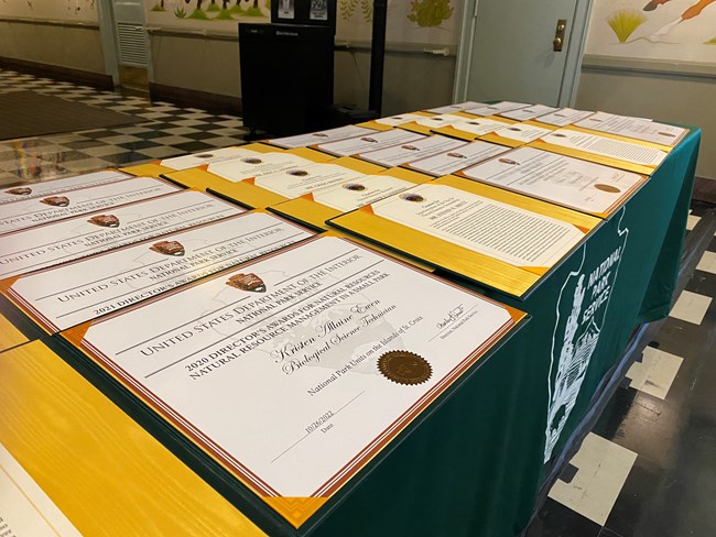 Collection of award certificates on a table